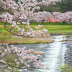 【画像】いまじゃそこかしこに見かける道の駅はいつが始まり？　元祖……と呼んでいいだろう道の駅５つの魅力を紹介!! 〜 画像13