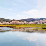 【画像】いまじゃそこかしこに見かける道の駅はいつが始まり？　元祖……と呼んでいいだろう道の駅５つの魅力を紹介!! 〜 画像14