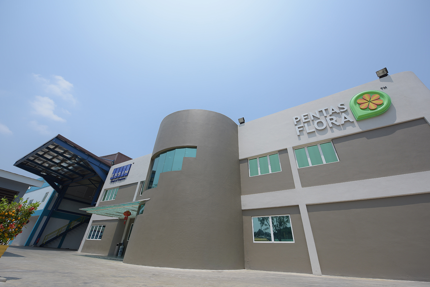 ペンタスフローラ社 〜 画像8