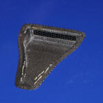 【画像】名車BNR34を蘇らせるだけでなく新車以上の剛性を取り戻す「ボディリビルドパッケージ」！　日産サービスセンターの本気がスゴすぎた【大阪オートメッセ2026】 〜 画像2