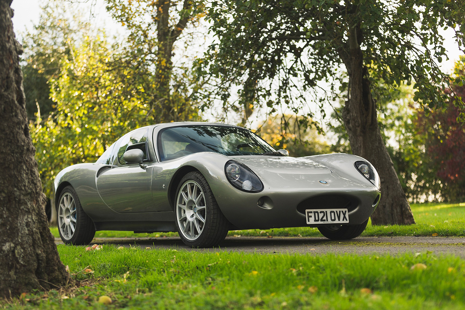 ウェルズ・ヴェルティージュのフロントスタイリング