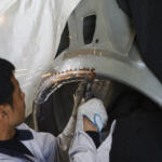 【画像】エンジンの調子やボディのキズより重要なものがある！　中古車を買うときは「下まわり」を何が何でも見るのが正解だった 〜 画像20