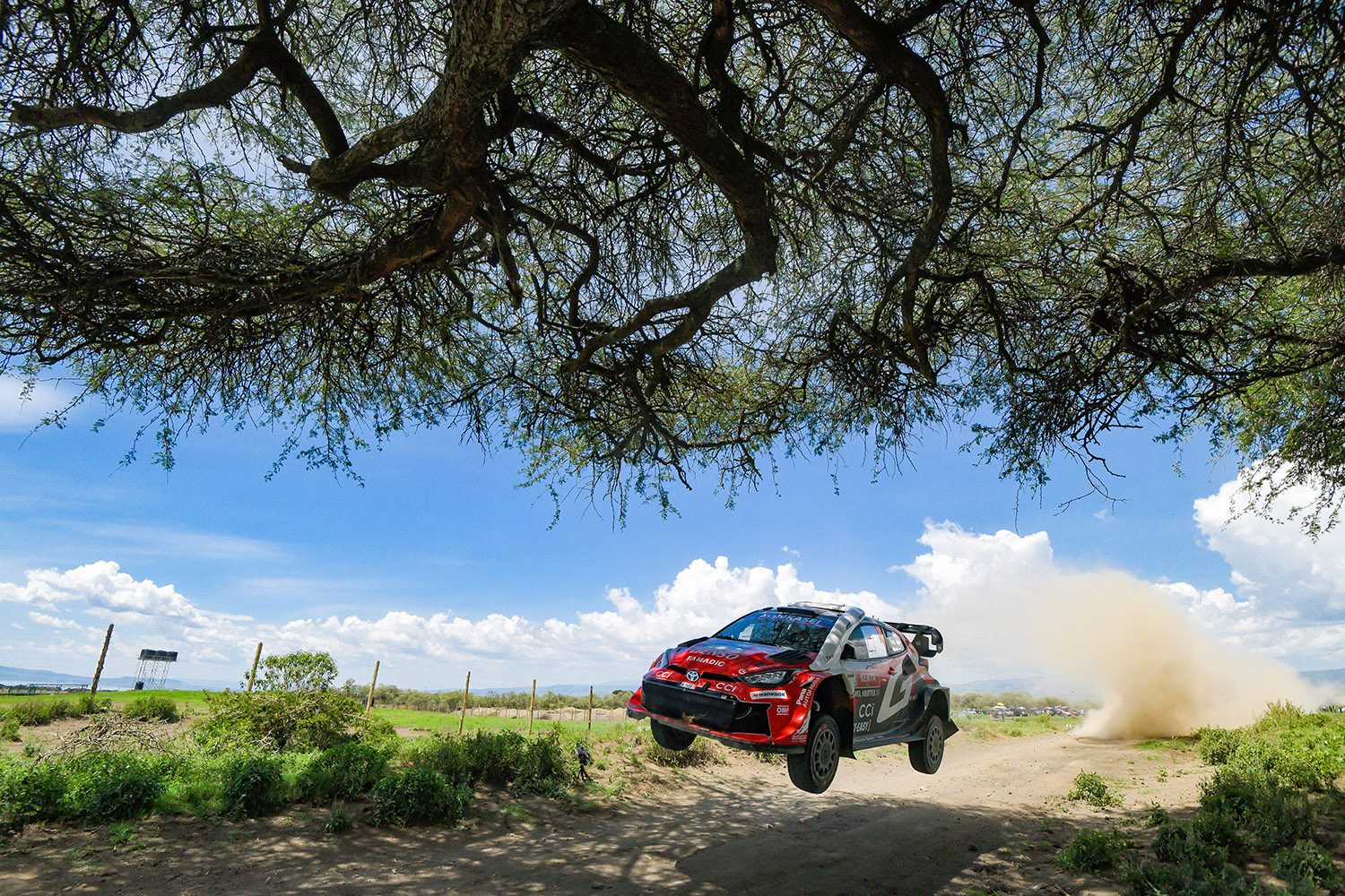 トヨタの勝田貴元がWRCにおいてもっとも過酷なサファリラリーで初優勝 〜 画像2