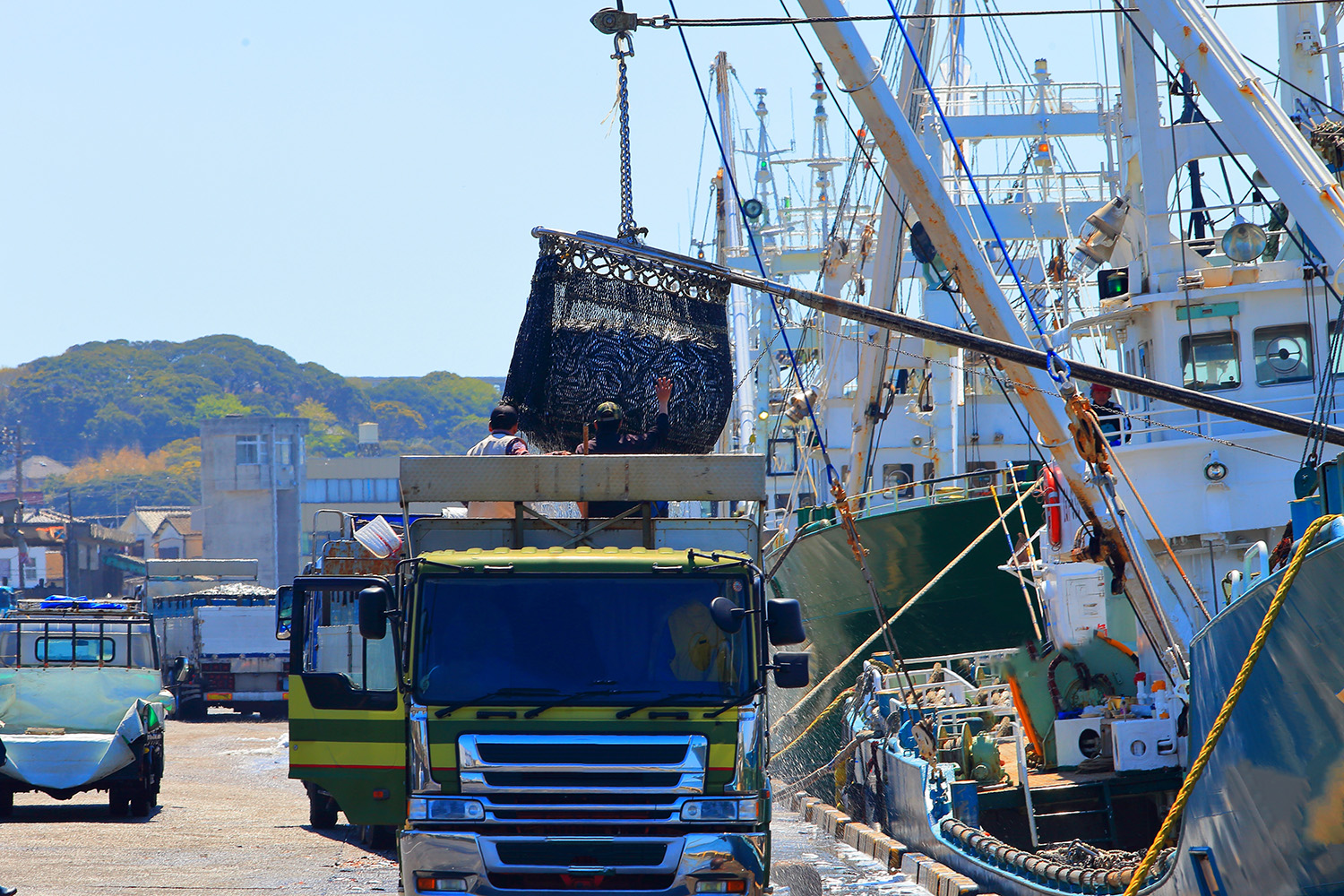 鮮魚便のイメージ