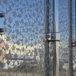 【画像】「ウロコ」「ナマズ」「金華山」！　クルマオタクでも知らないトラックカスタムの謎用語 〜 画像2