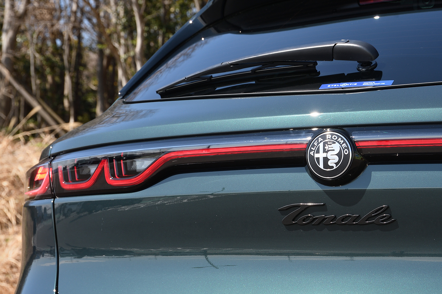 20260316_tonale_003 〜 画像3