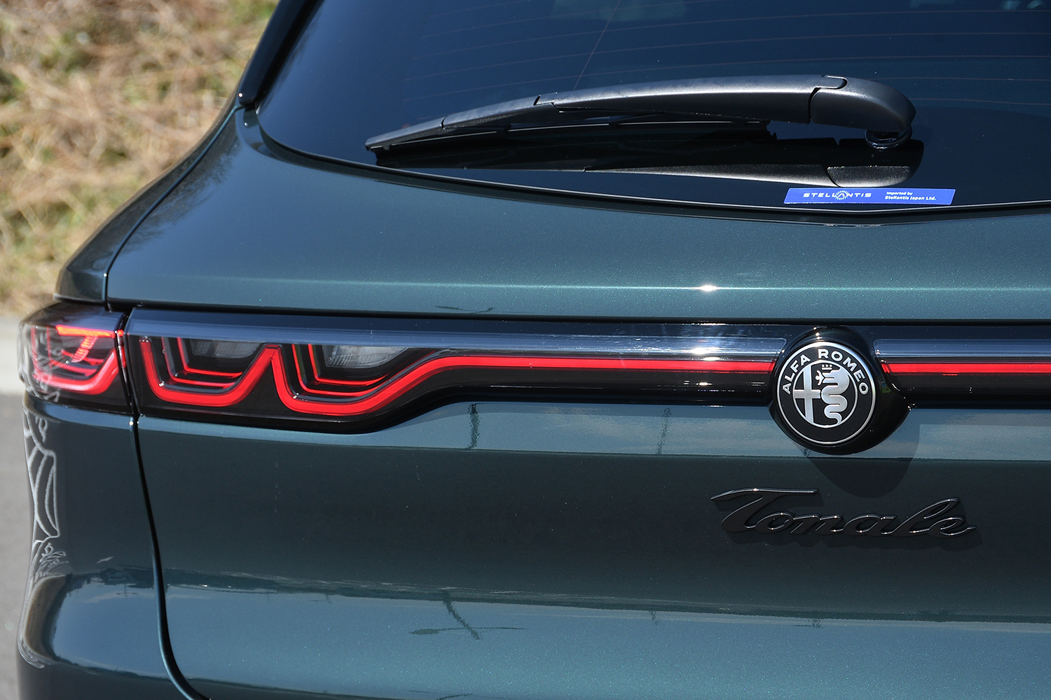 20260316_tonale_005 〜 画像5