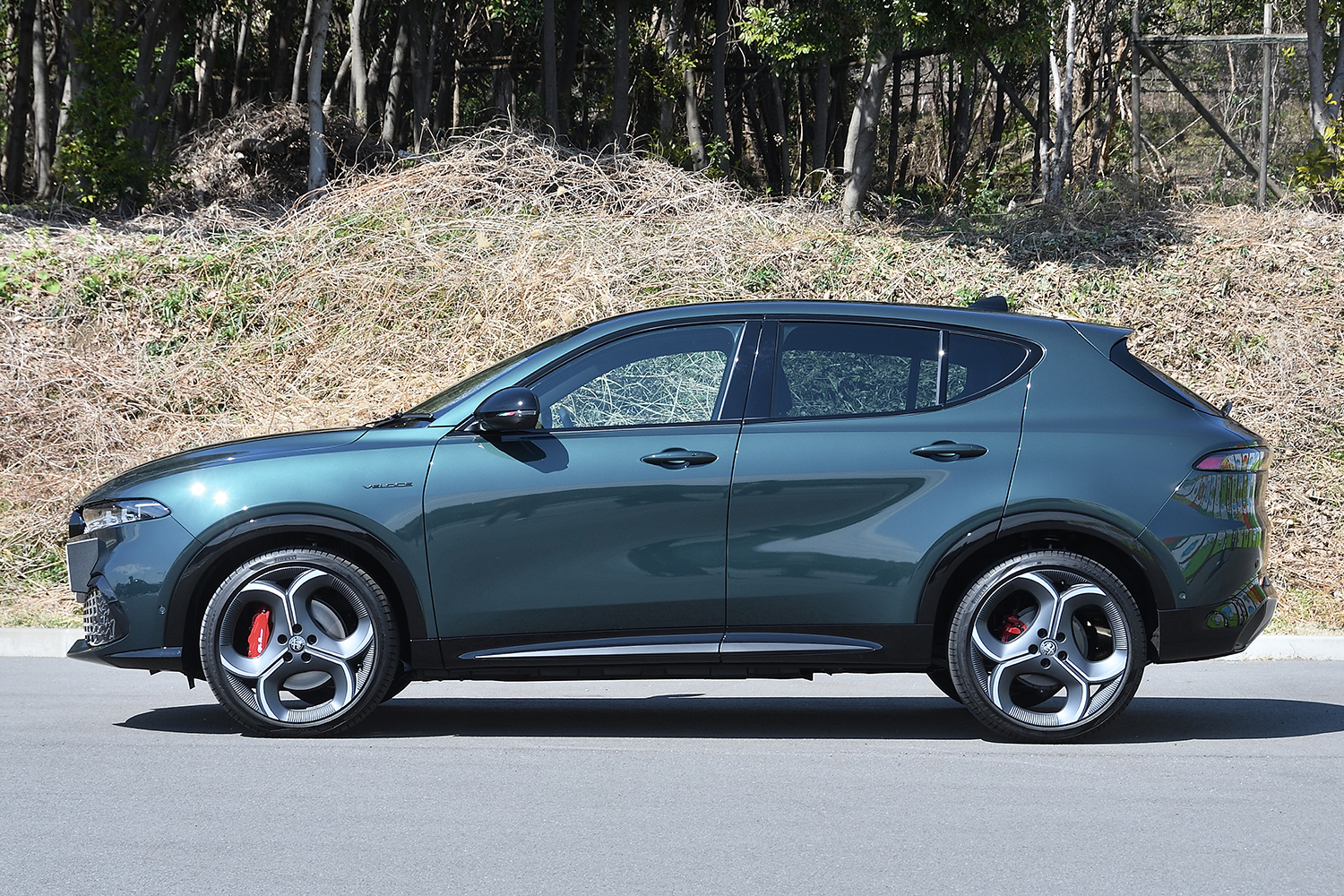 20260316_tonale_010 〜 画像10