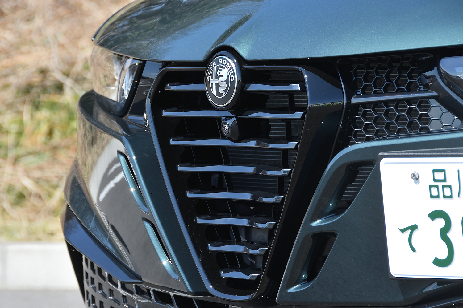 20260316_tonale_012 〜 画像12