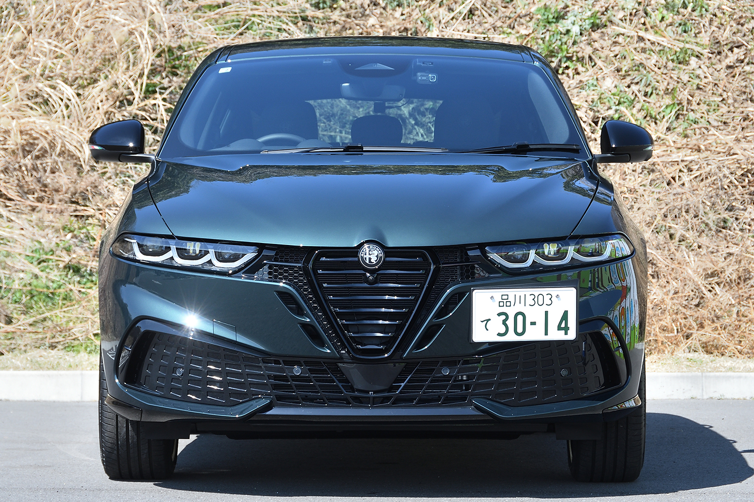 20260316_tonale_015 〜 画像15