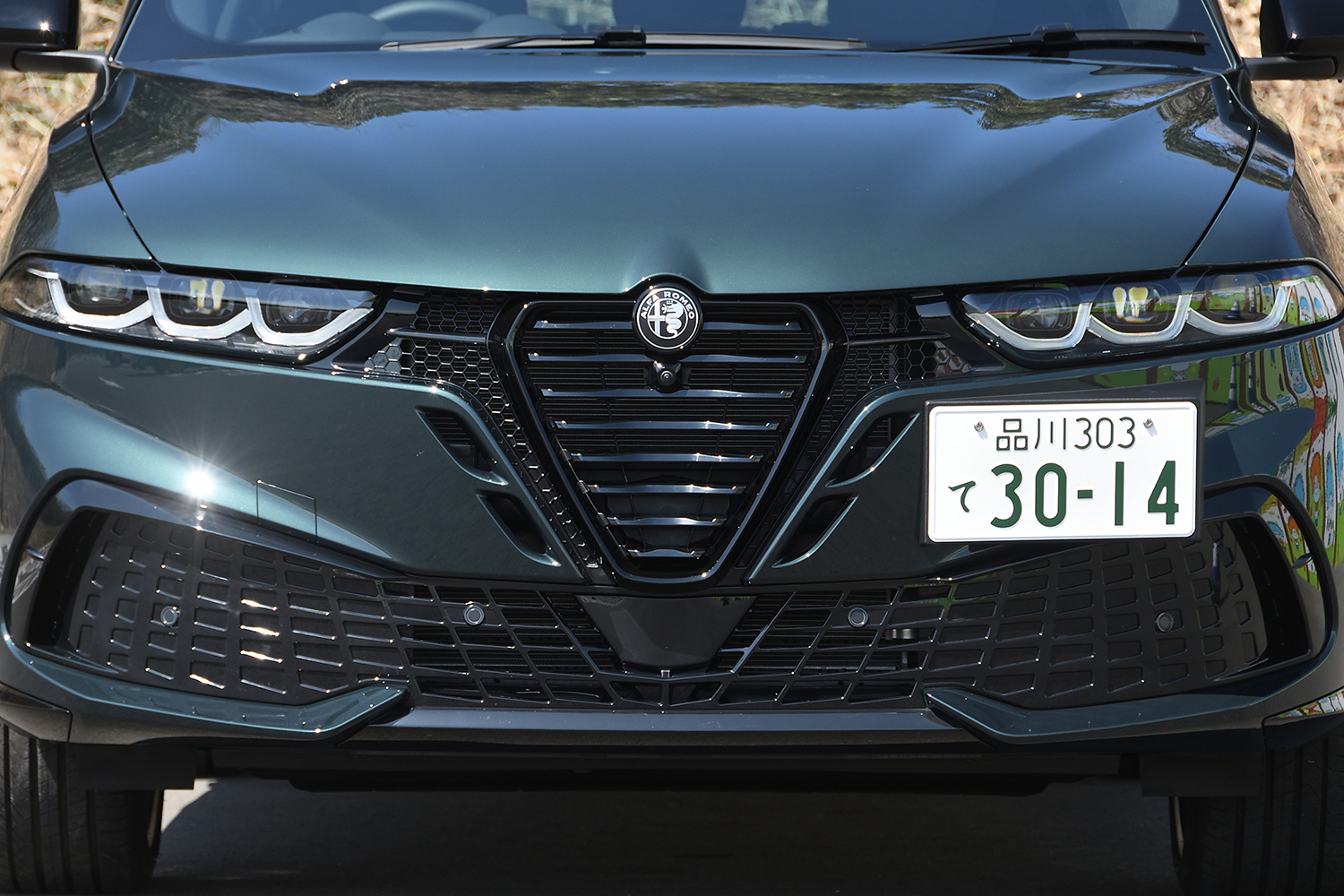 20260316_tonale_016 〜 画像16