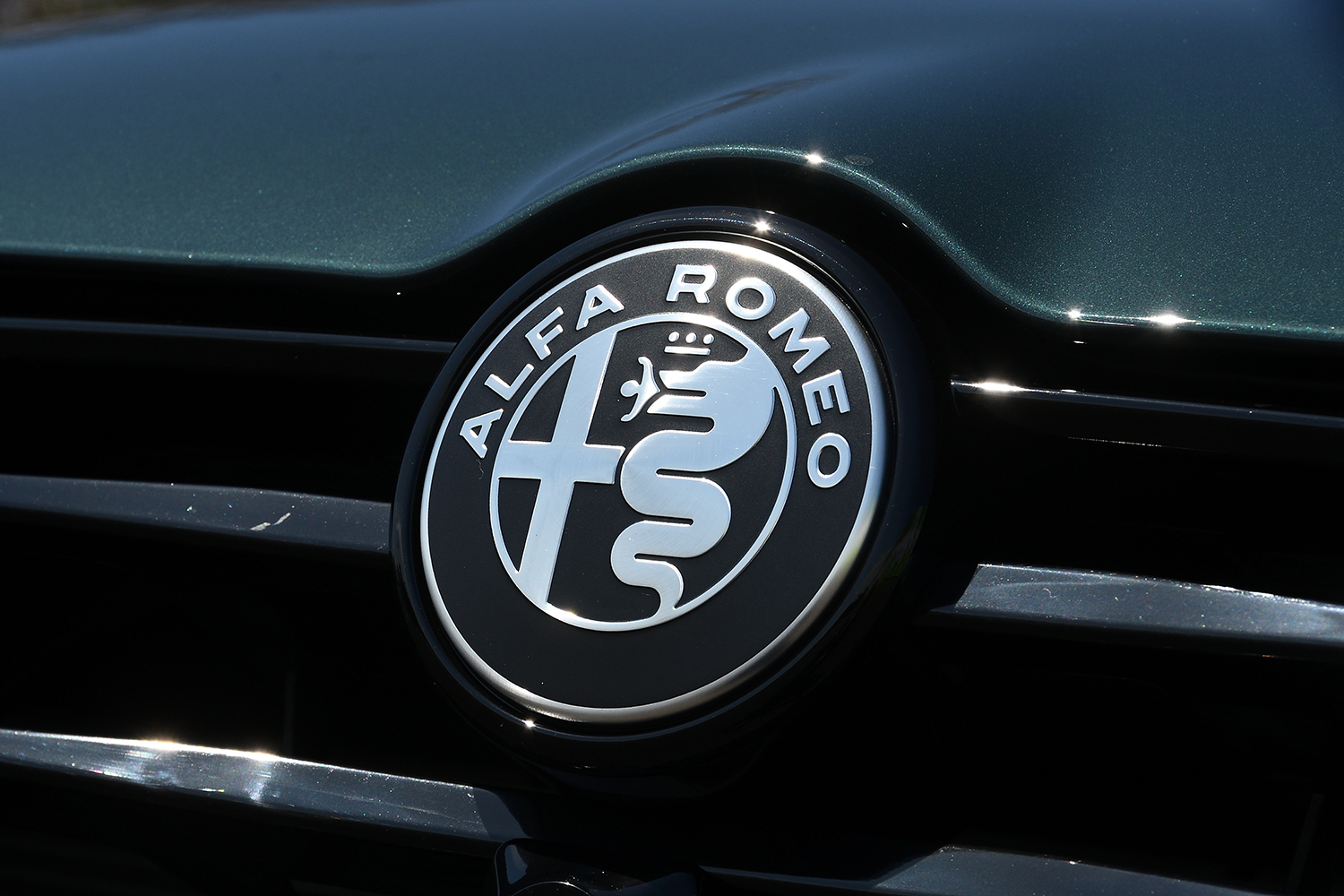 20260316_tonale_024 〜 画像24