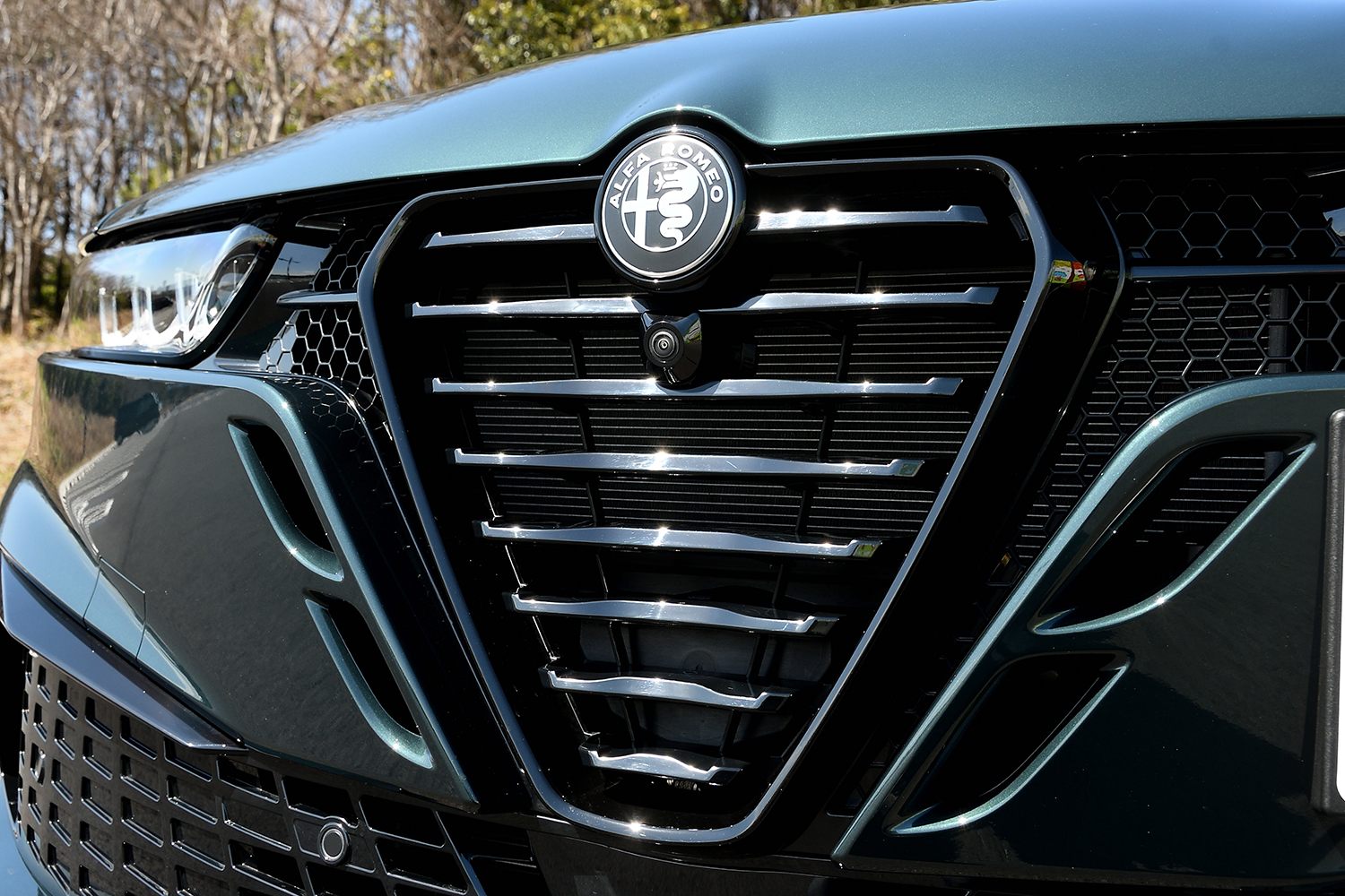 20260316_tonale_025 〜 画像25