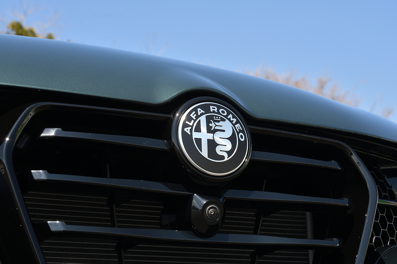 20260316_tonale_027 〜 画像27