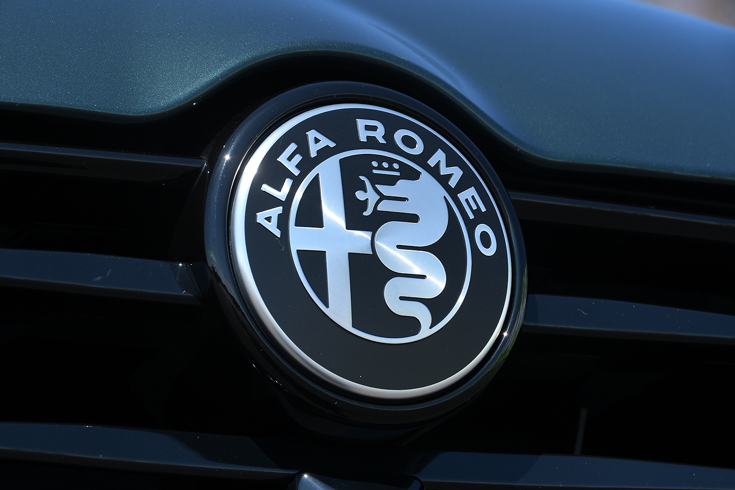 20260316_tonale_028 〜 画像28