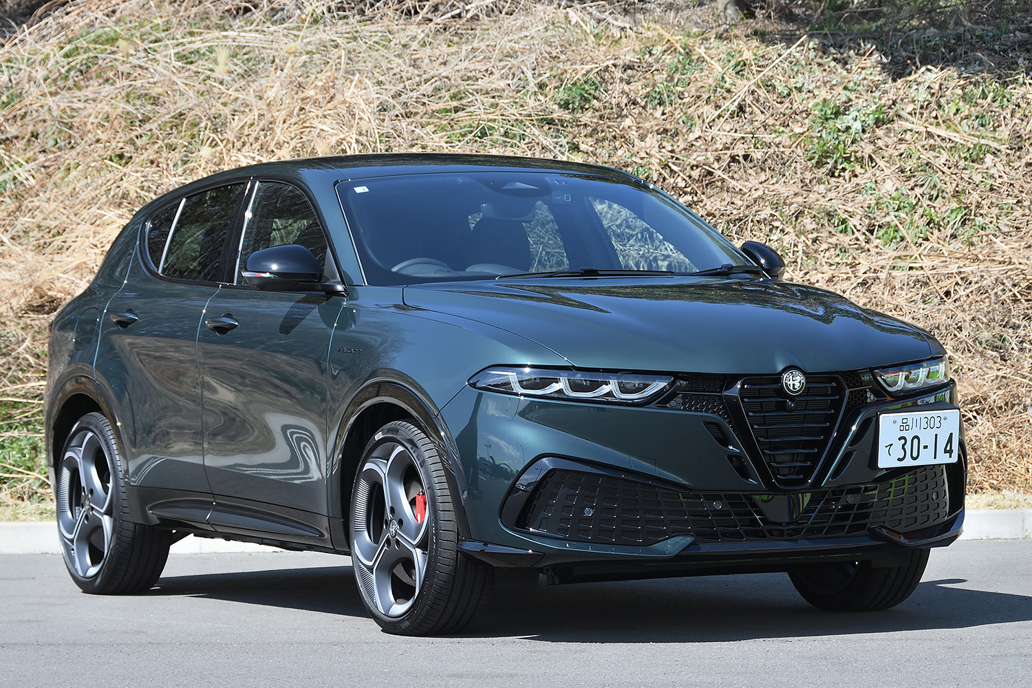 20260316_tonale_030 〜 画像30