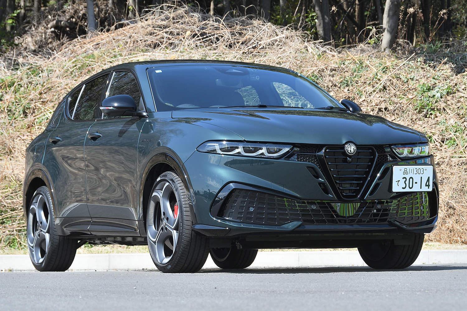 20260316_tonale_032 〜 画像32