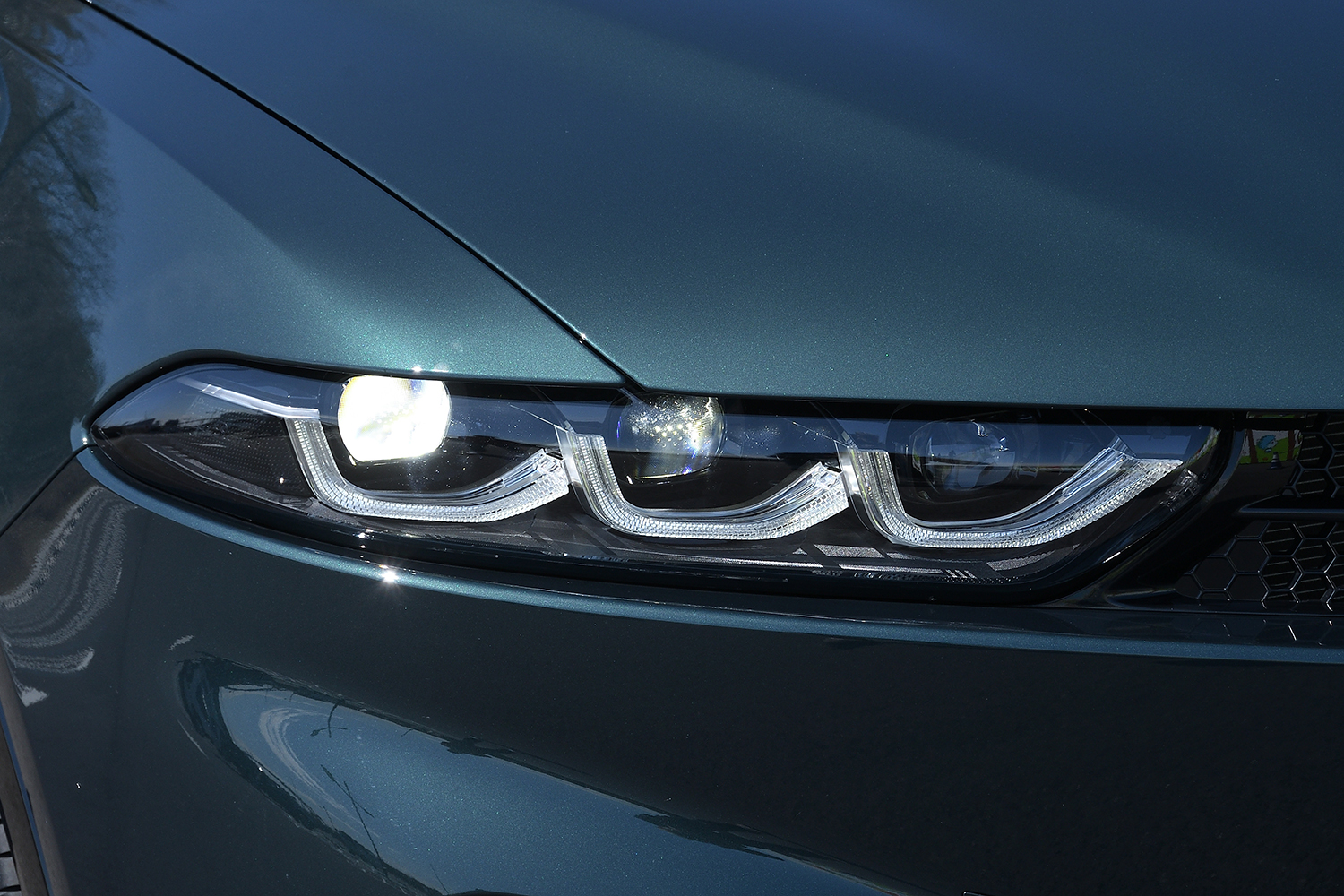 20260316_tonale_033 〜 画像33