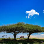 【画像】日本人34年ぶりの快挙はどうやって達成された？　勝田貴元が語るWRC初優勝のウラ側 〜 画像42