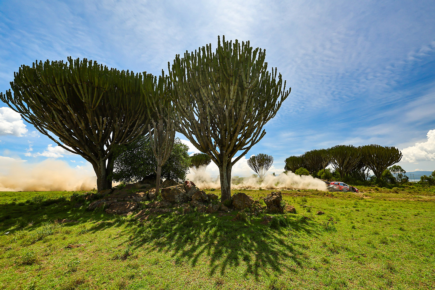 勝田貴元が語ったWRC初優勝の本当の勝因 〜 画像45