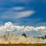 【画像】日本人34年ぶりの快挙はどうやって達成された？　勝田貴元が語るWRC初優勝のウラ側 〜 画像46