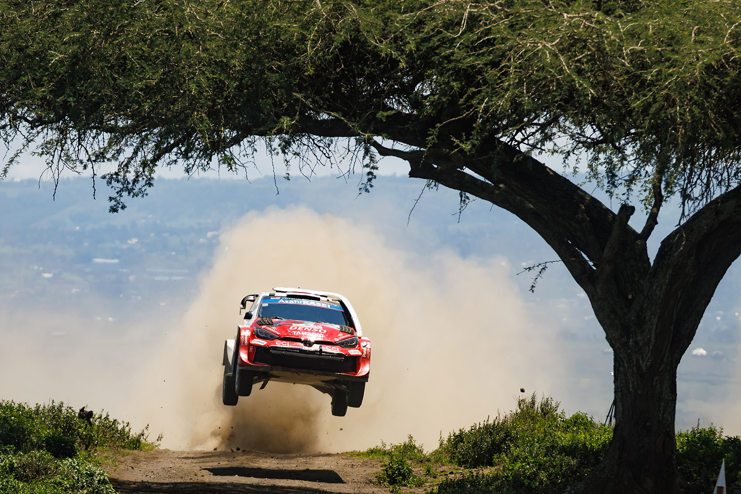 勝田貴元が語ったWRC初優勝の本当の勝因 〜 画像49