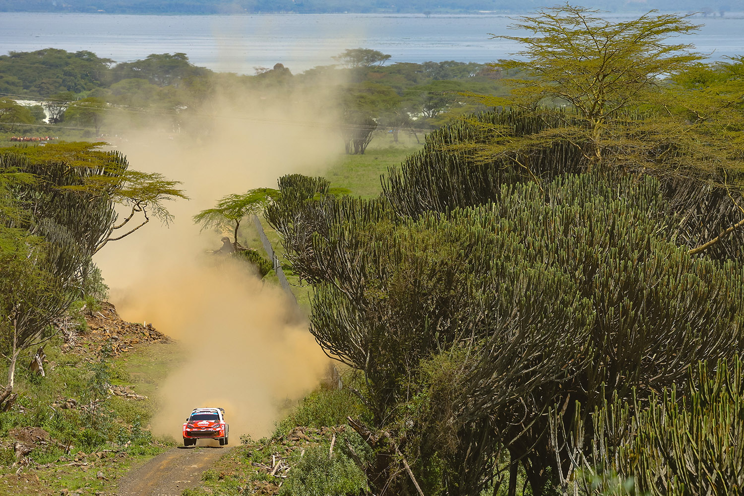 勝田貴元が語ったWRC初優勝の本当の勝因 〜 画像50