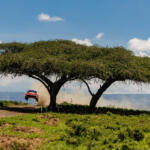 【画像】日本人34年ぶりの快挙はどうやって達成された？　勝田貴元が語るWRC初優勝のウラ側 〜 画像51