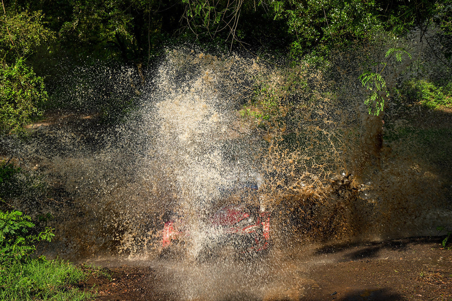 勝田貴元が語ったWRC初優勝の本当の勝因 〜 画像60