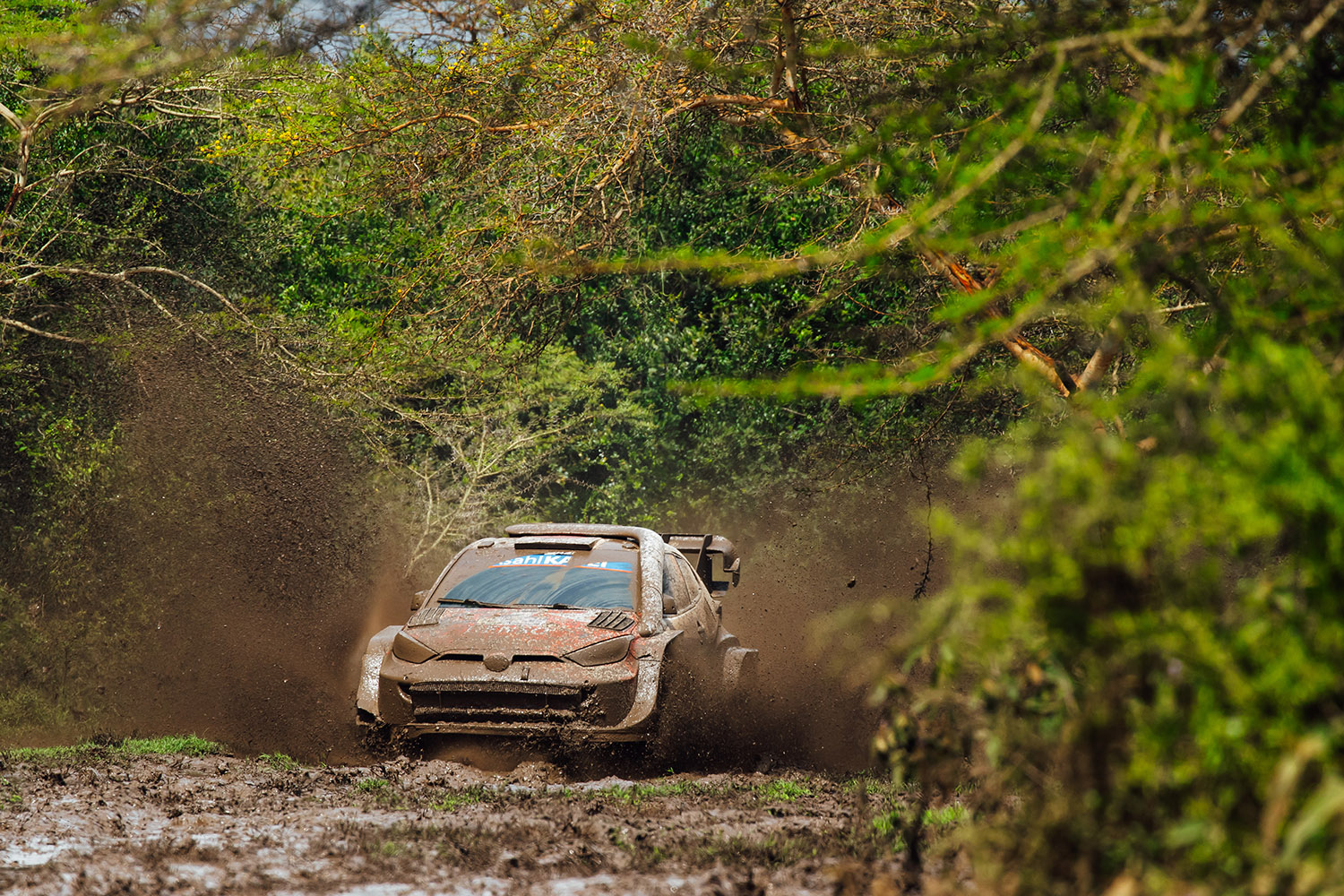 勝田貴元が語ったWRC初優勝の本当の勝因 〜 画像66