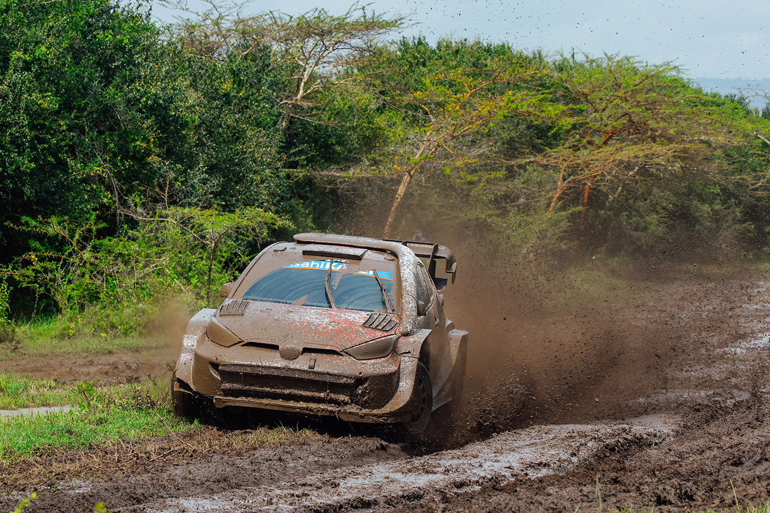 勝田貴元選手のGRヤリスRally1 〜 画像69