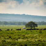 【画像】日本人34年ぶりの快挙はどうやって達成された？　勝田貴元が語るWRC初優勝のウラ側 〜 画像77