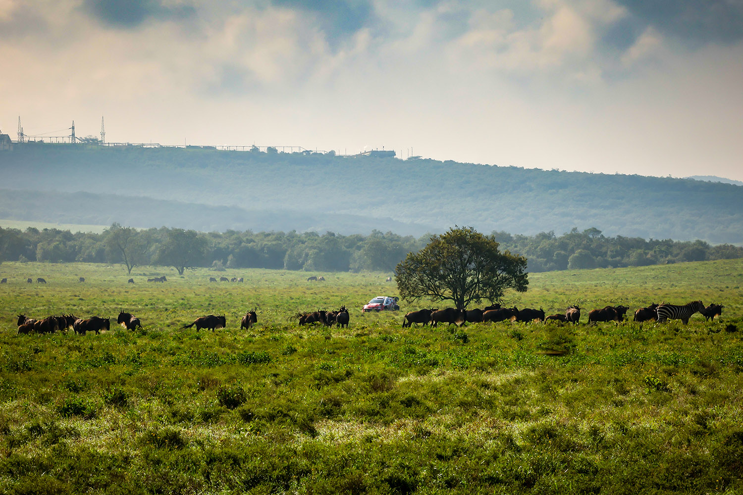 勝田貴元が語ったWRC初優勝の本当の勝因 〜 画像77