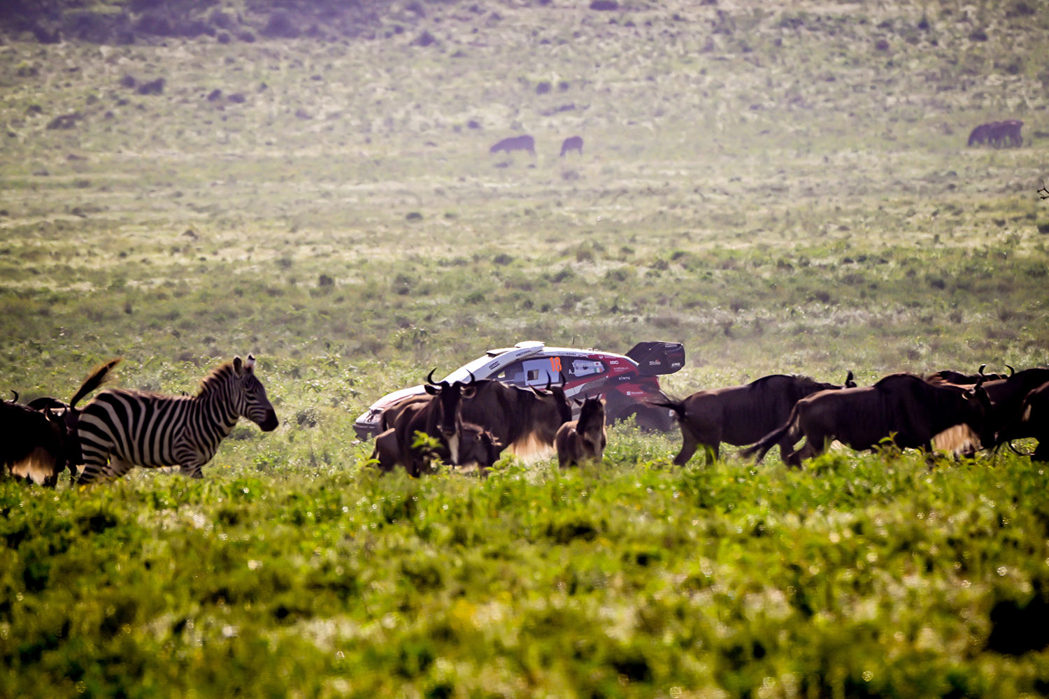 勝田貴元が語ったWRC初優勝の本当の勝因 〜 画像80
