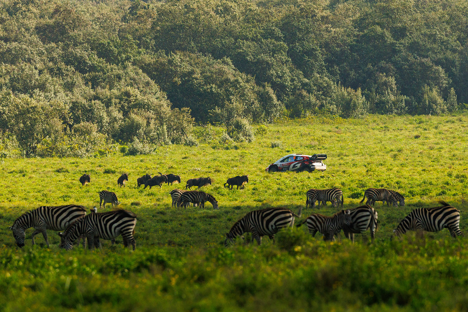 勝田貴元が語ったWRC初優勝の本当の勝因 〜 画像92