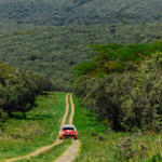 【画像】日本人34年ぶりの快挙はどうやって達成された？　勝田貴元が語るWRC初優勝のウラ側 〜 画像96