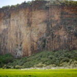 【画像】日本人34年ぶりの快挙はどうやって達成された？　勝田貴元が語るWRC初優勝のウラ側 〜 画像121