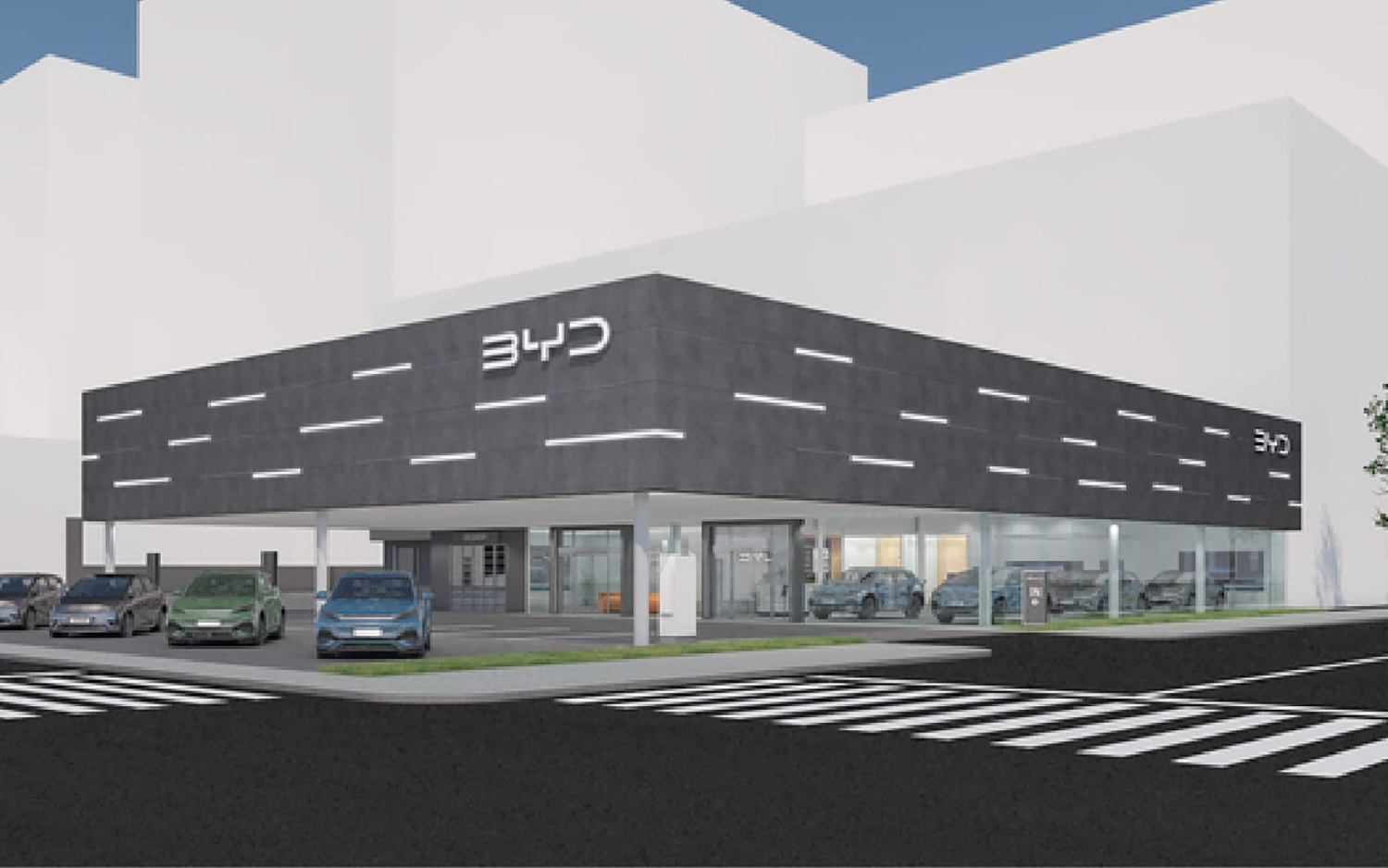 オーナーの資産価値を減らしたBYDによる「BYD補助金」の危うさ 〜 画像4