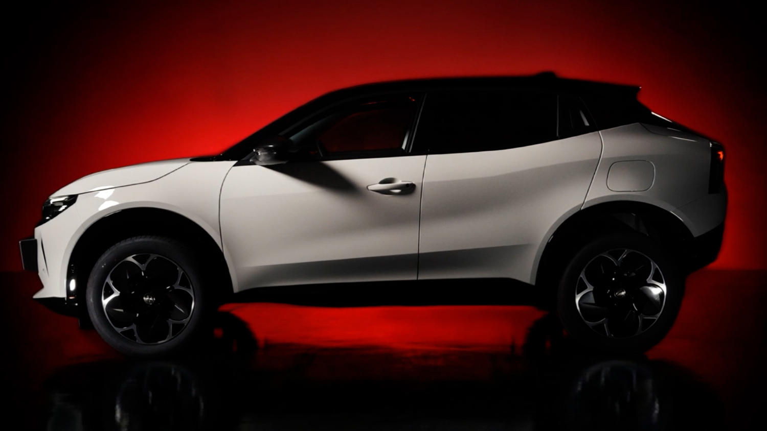 ジュニア イブリダ エディツィオーネ ビアンコ