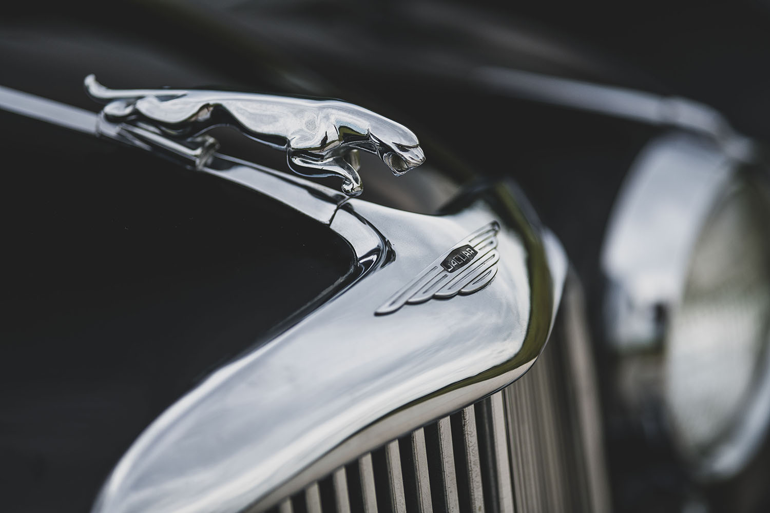 ジャガーのリーピング・キャット