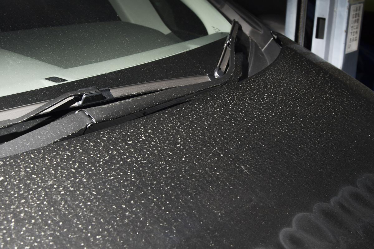 ボディにのった花粉のイメージ 〜 画像8