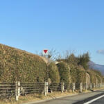 【画像】そういやよく見かけるけど考えたことなかった！　赤三角に四角と十字の組み合わせの標識はどういう意味？ 〜 画像6