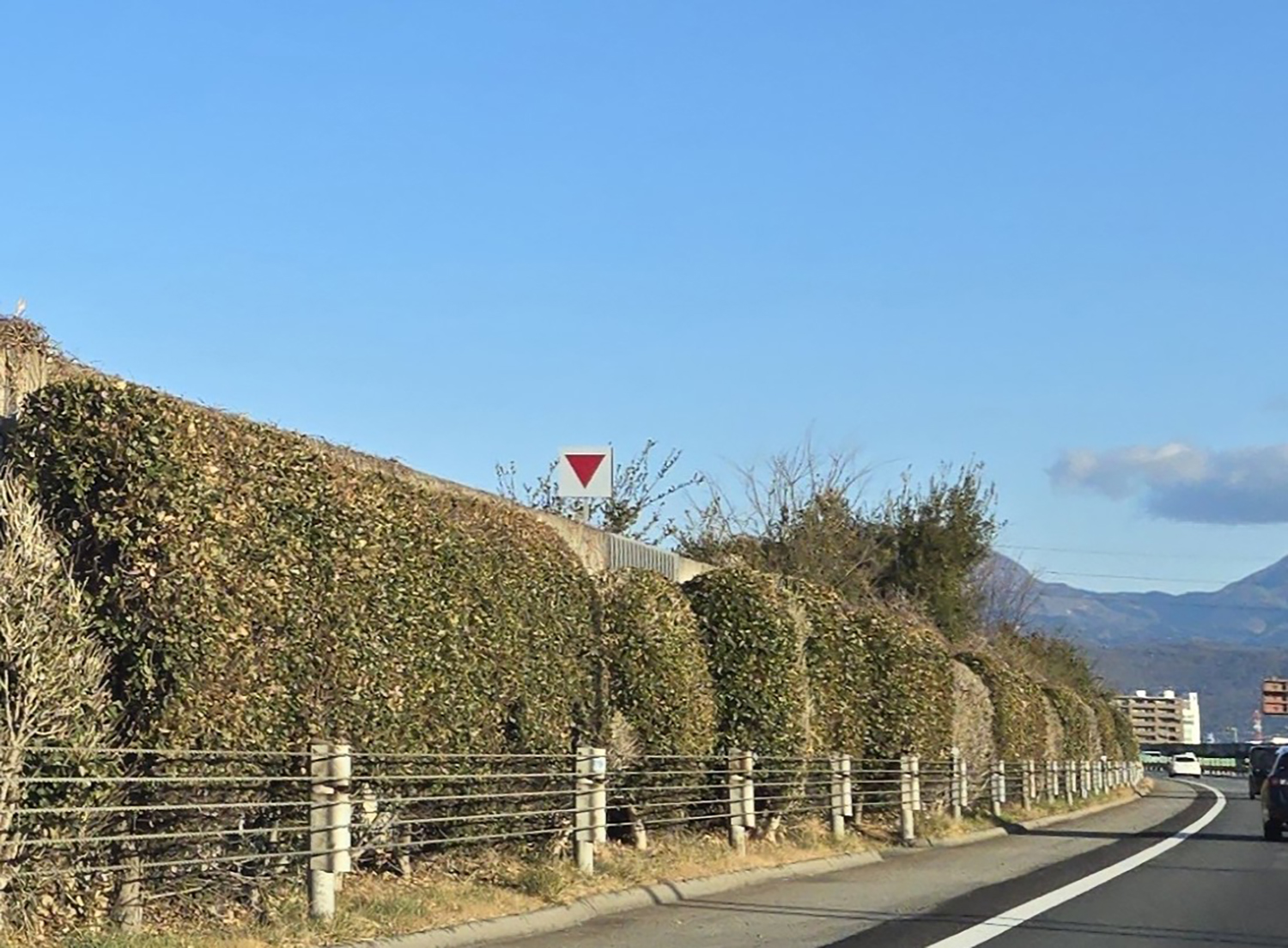 見ただけじゃ意味不明な道路にあふれる謎標識の役割 〜 画像6
