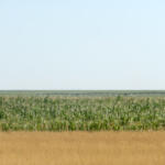 【画像】コメ価格安定のためには安定した生産が大切！　「農業はロボが変えるぜ」精神のスタートアップ企業に期待!! 〜 画像5