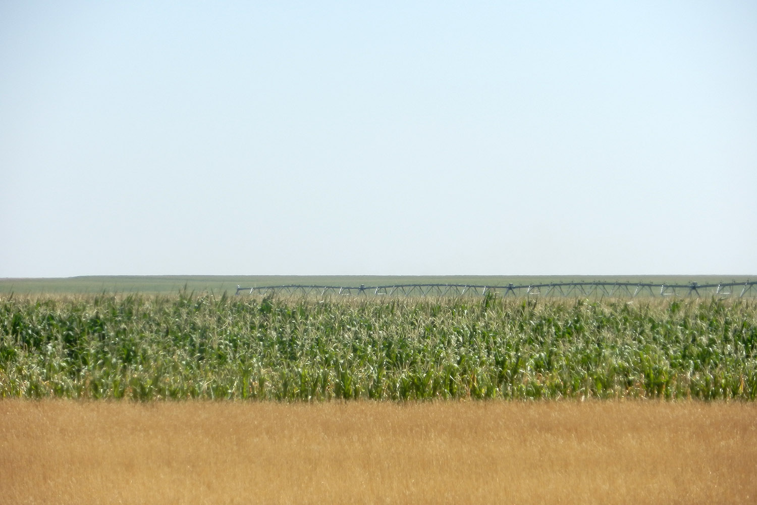 アメリカの農場