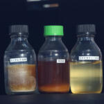 【画像】スズキがインドで新たな燃料の開発に挑む！　元となる資源は……「牛糞」!! 〜 画像5