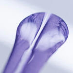 【画像】愛娘向けに作った花柄シートに花柄ウイングのキュートなクルマ……だが中身は1600馬力で最高速450km/hの怪物ブガッティってどんだけアンマッチ!? 〜 画像2