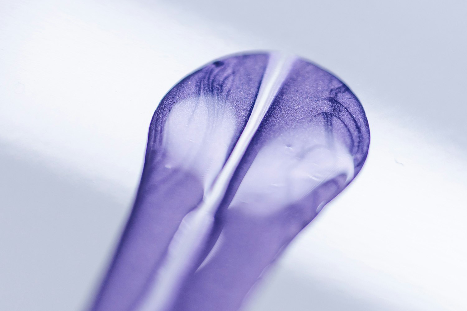 20260410_bugatti_caroline_002 〜 画像2