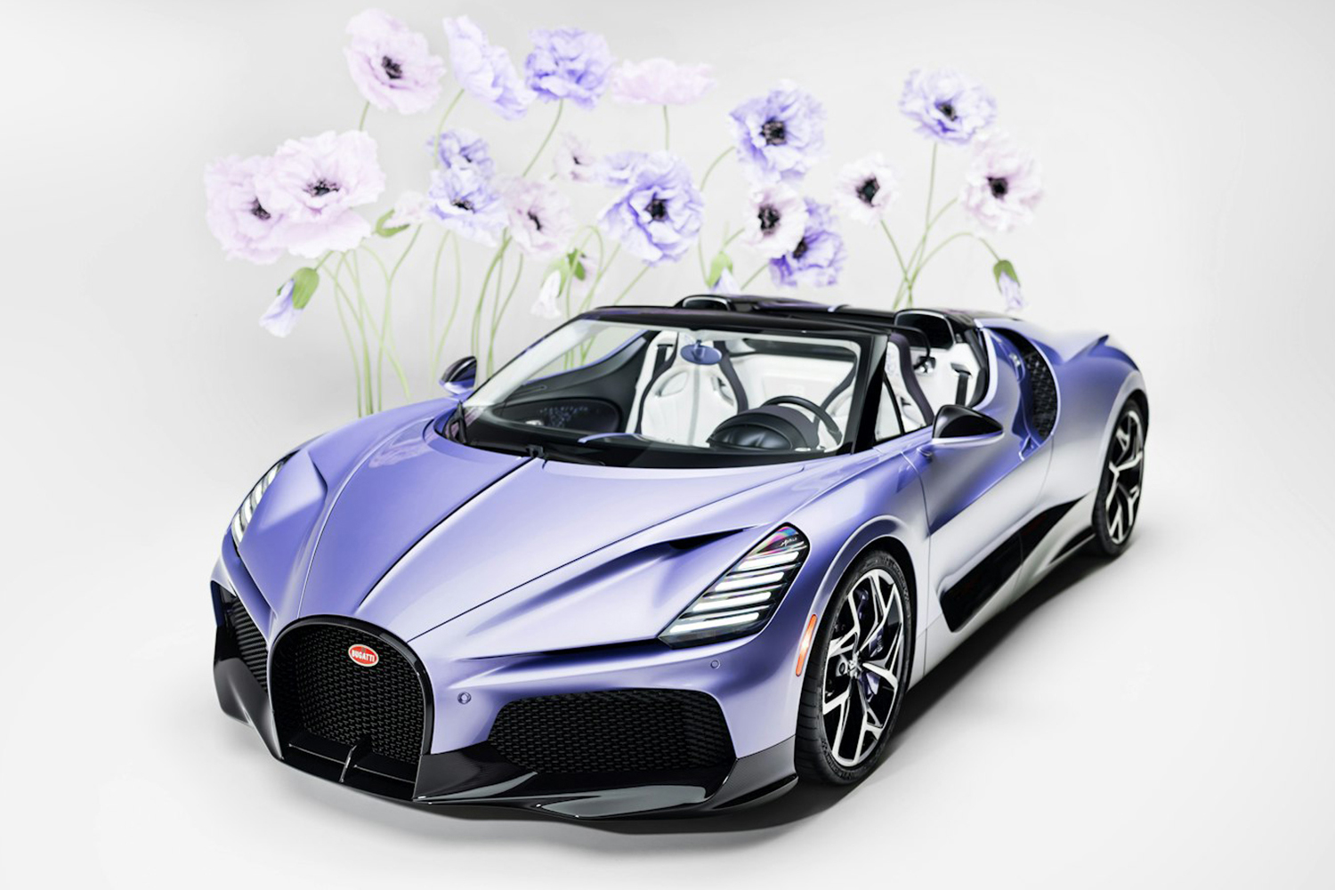 ブガッティW16ミストラル・キャロラインのフロントスタイリング