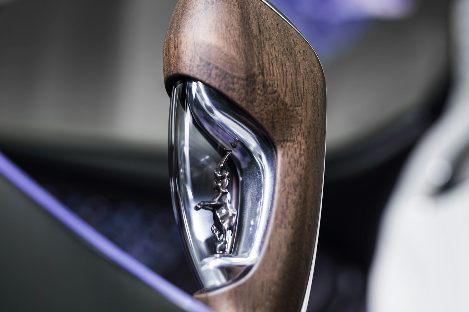 20260410_bugatti_caroline_009 〜 画像9